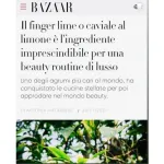 Harper Bazaar pubblicazione web